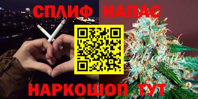 прущие грибы Гусиноозёрск