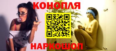 прущие грибы Гусиноозёрск