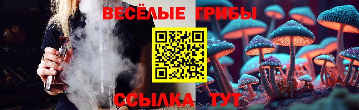 Псилоцибиновые грибы мицелий Назарово
